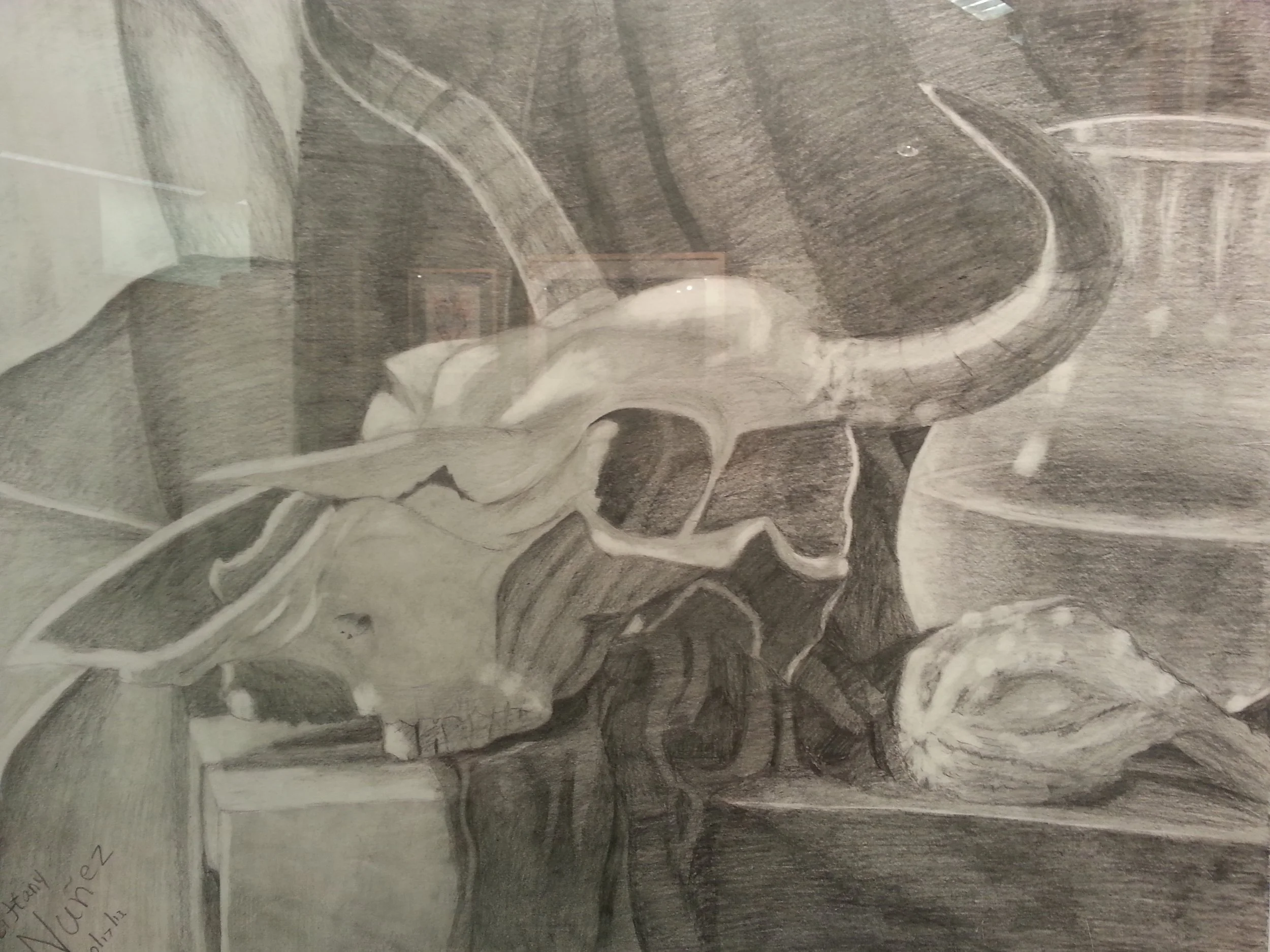 Cow_Skull_Final.jpg