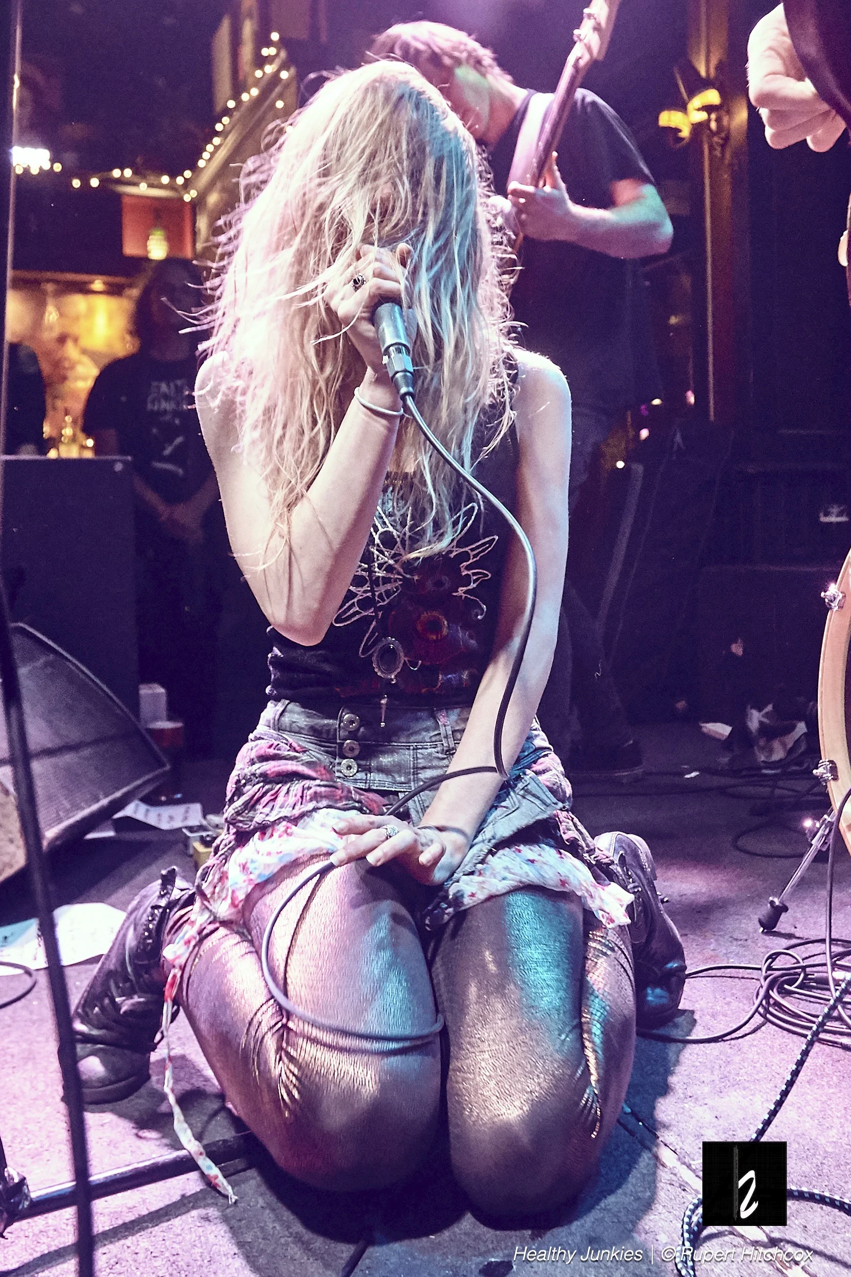Healthy Junkies poster.jpeg
