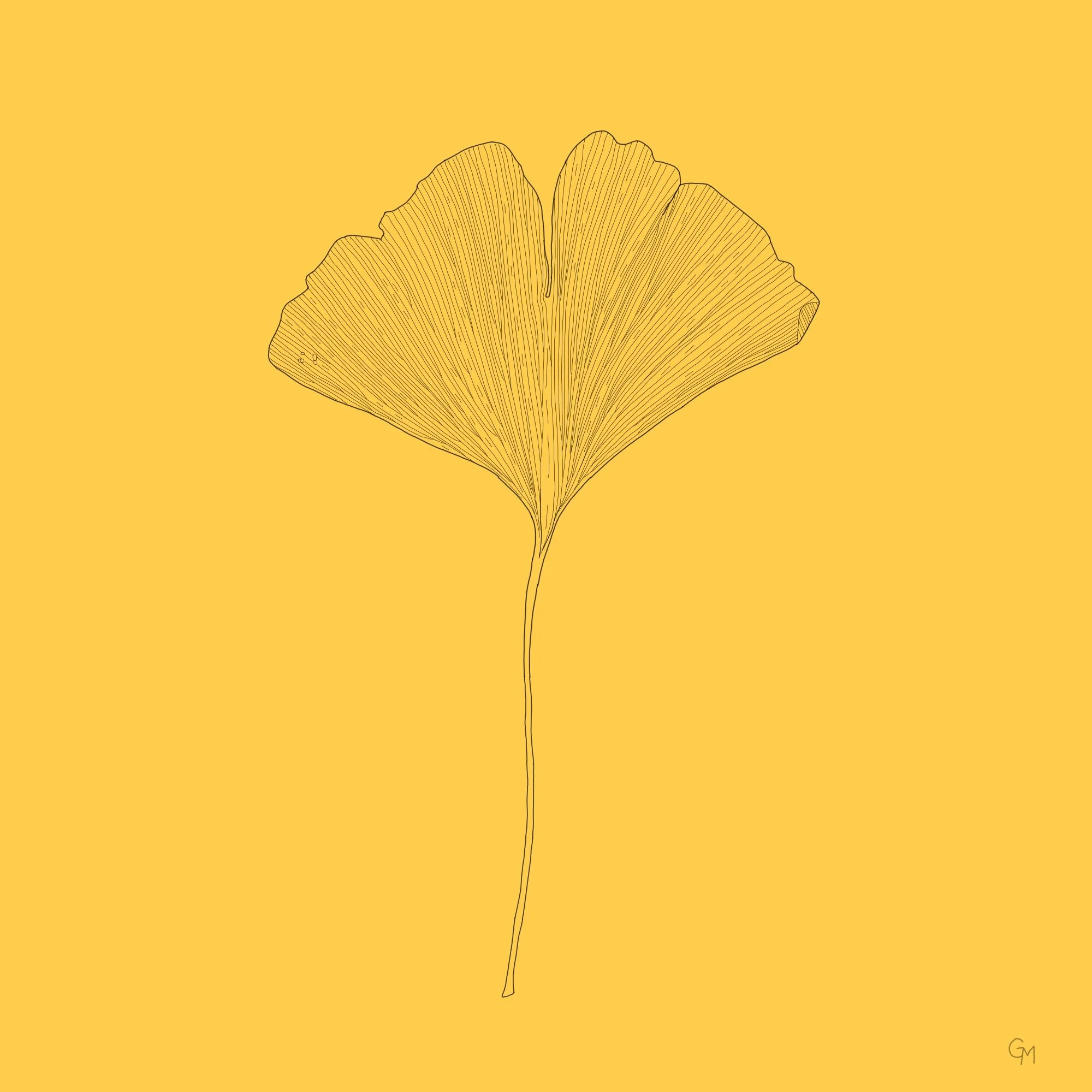 Untitled_Artwork 13.JPG