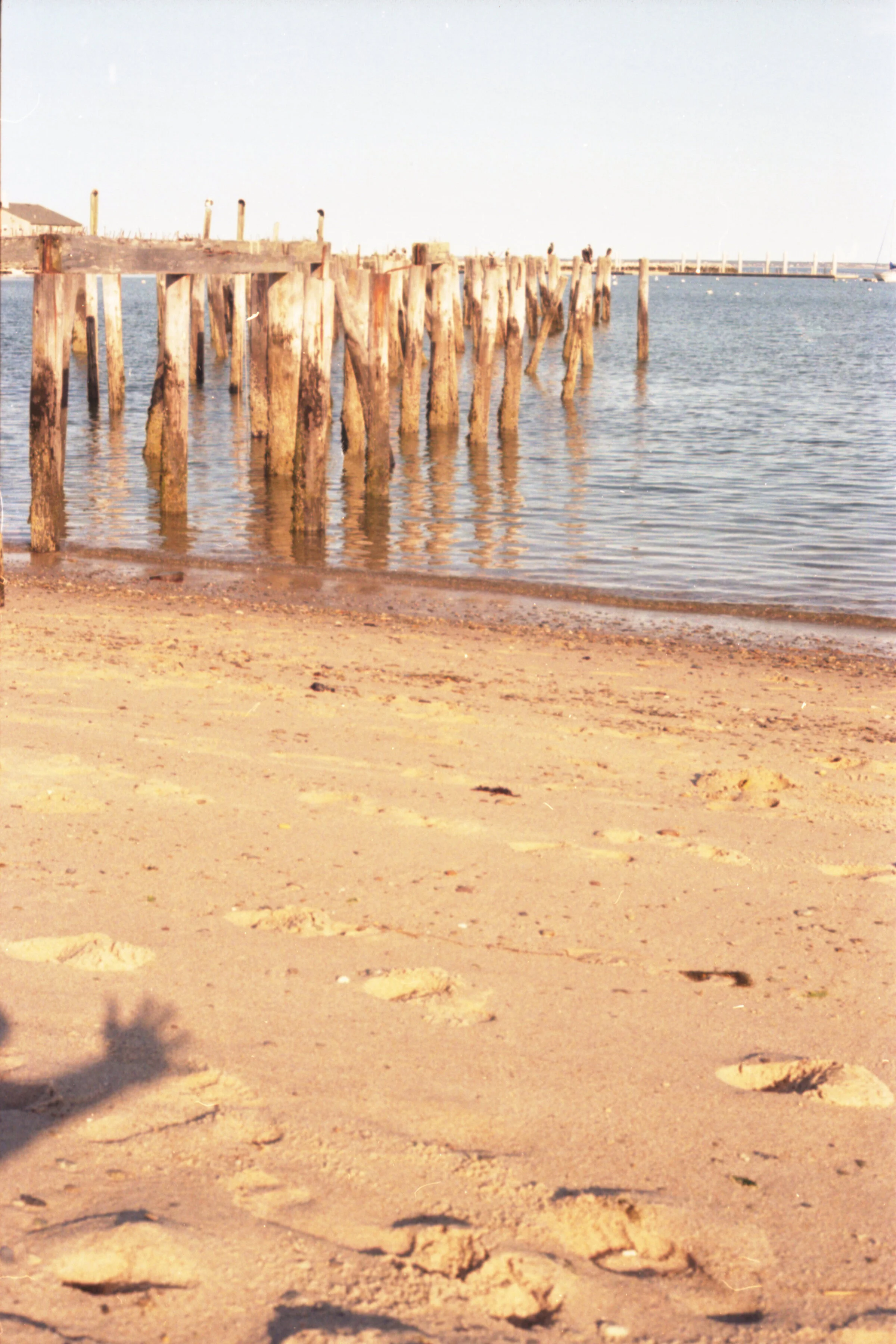 day8_beach.jpg