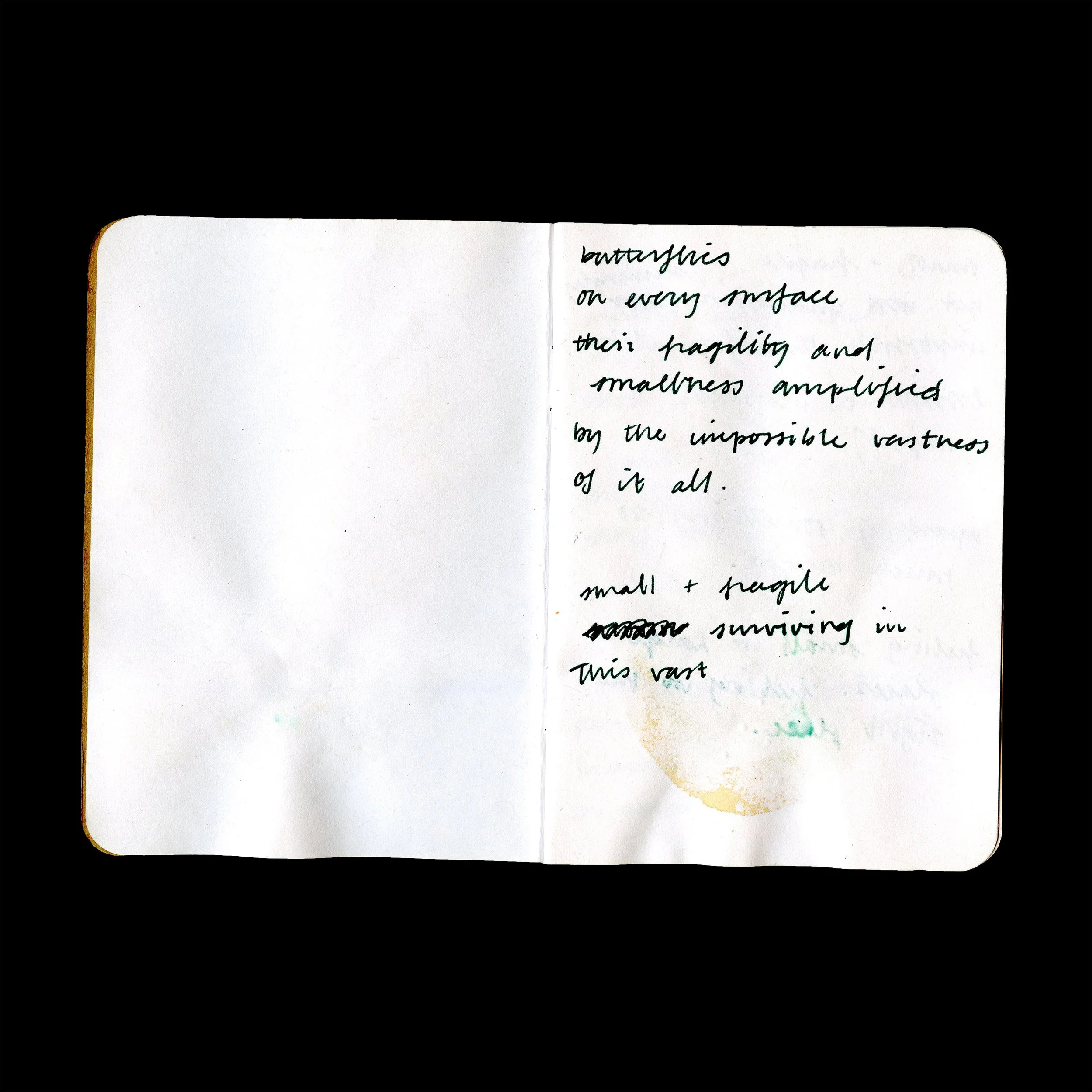 backpack003.jpg
