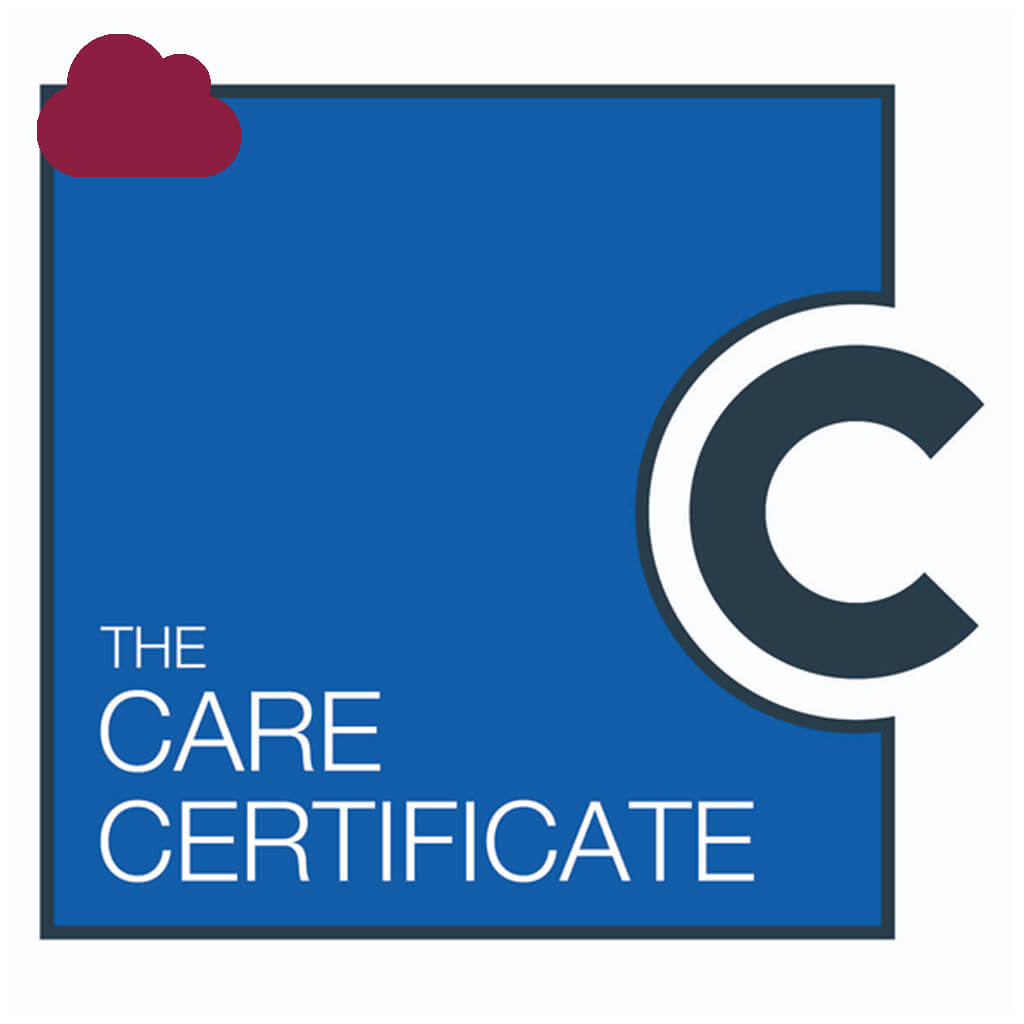 Course Care Certificate (Knowledge Only).jpg