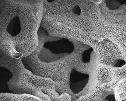Apatite-coated PLGA scaffold to engineer bone. Lee Lab