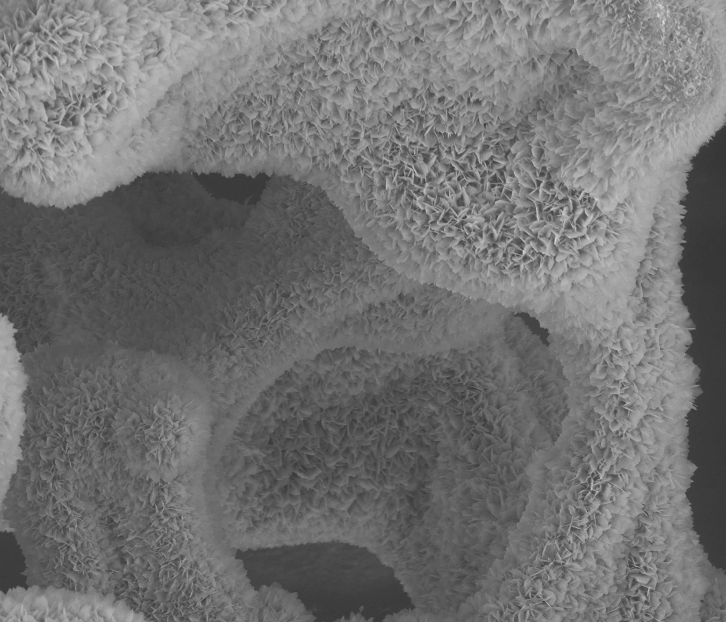 image 2.jpg
