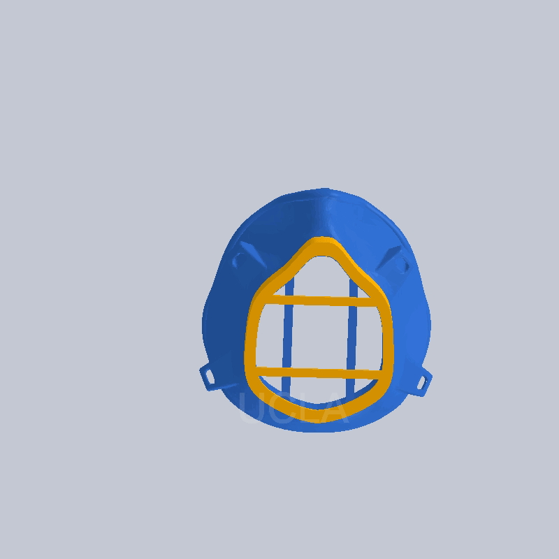 N95 Respirators — Prosthodontics, Special Patient Care, Maxillofacial