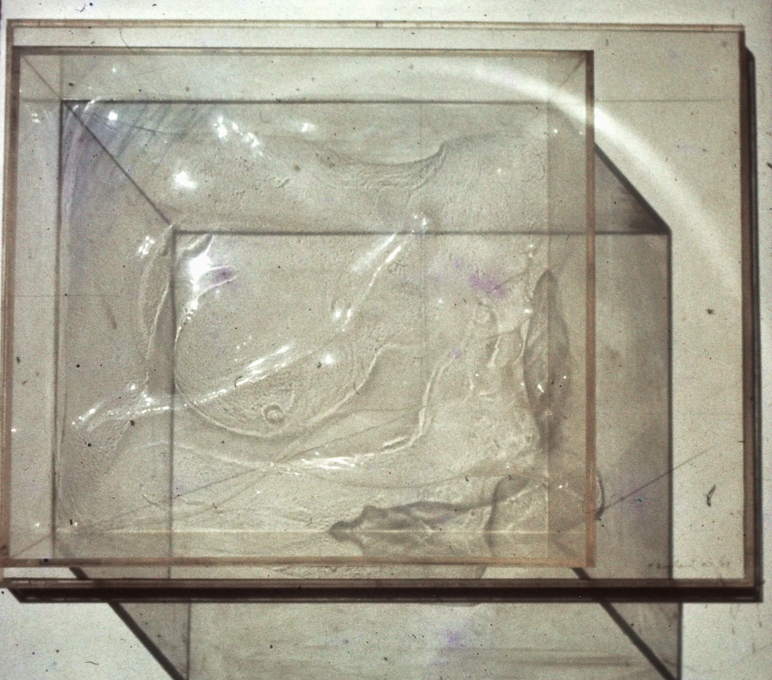 Moving torso 1965 VACUUM FORM