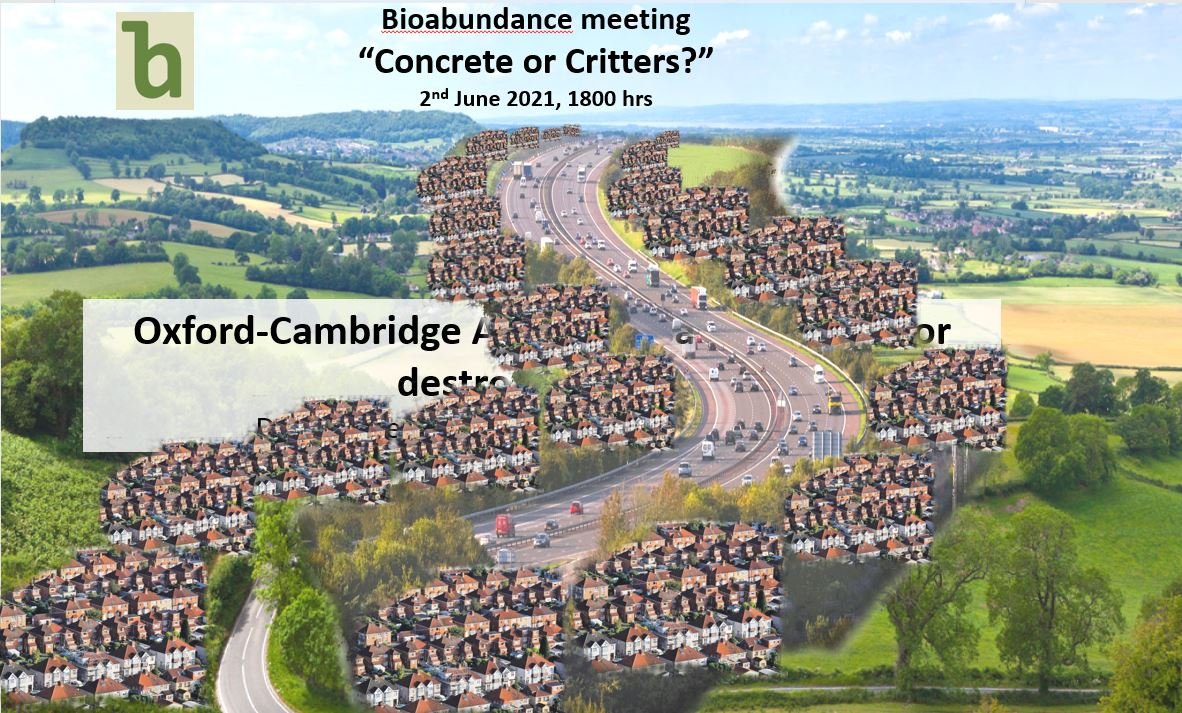 bioabundance. "Oxford-Cambridge Arc Plans: saving Nature or destroying it?"