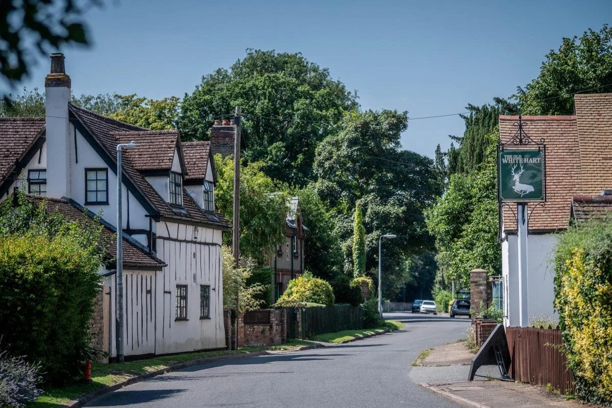 Government's forest plans not practical or meaningful