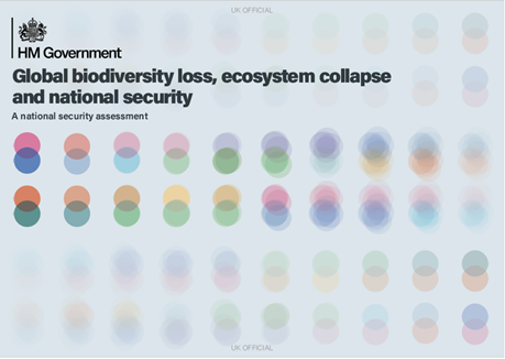Government publishes a stark report on global environmental decline