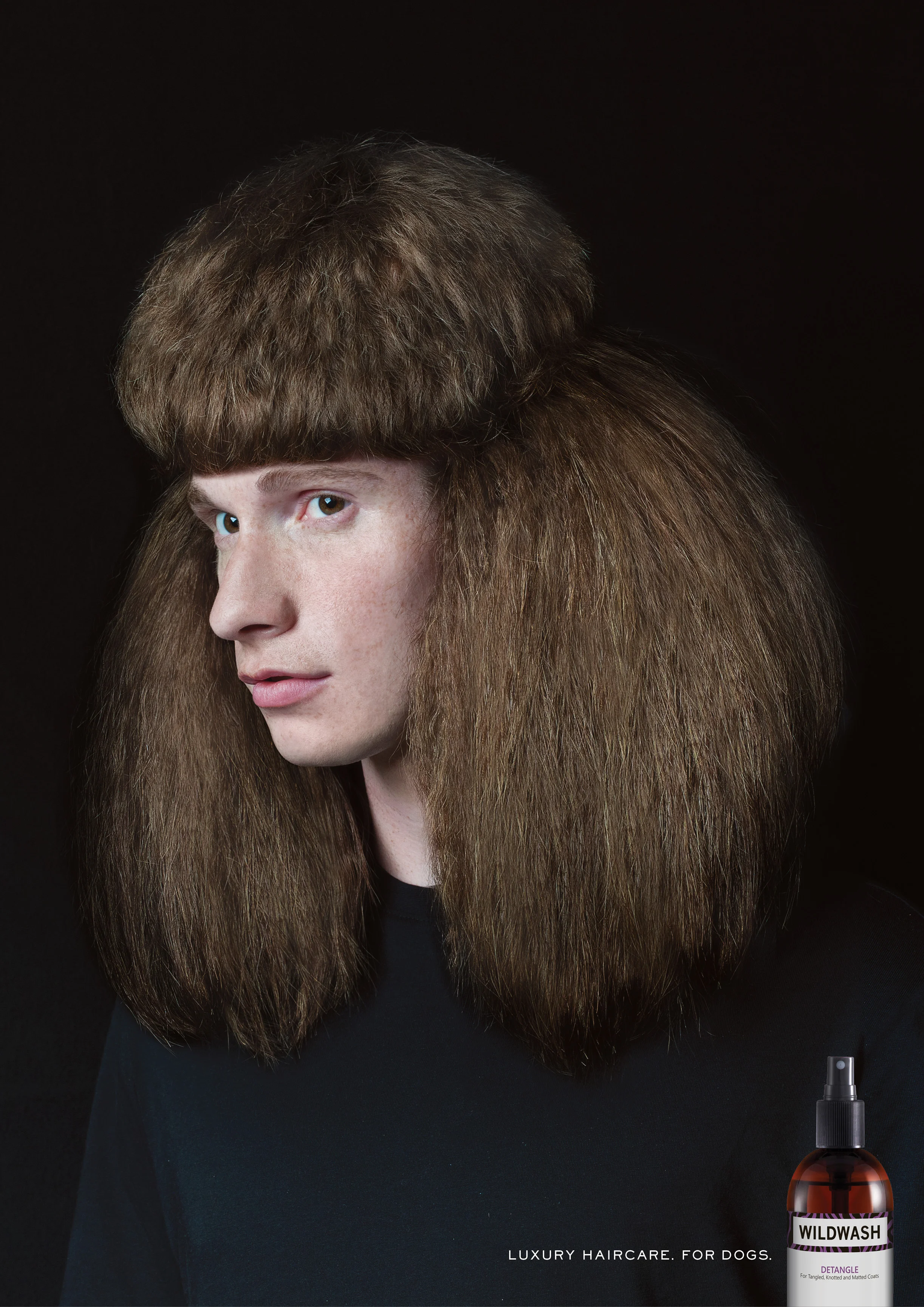 poodle.jpg