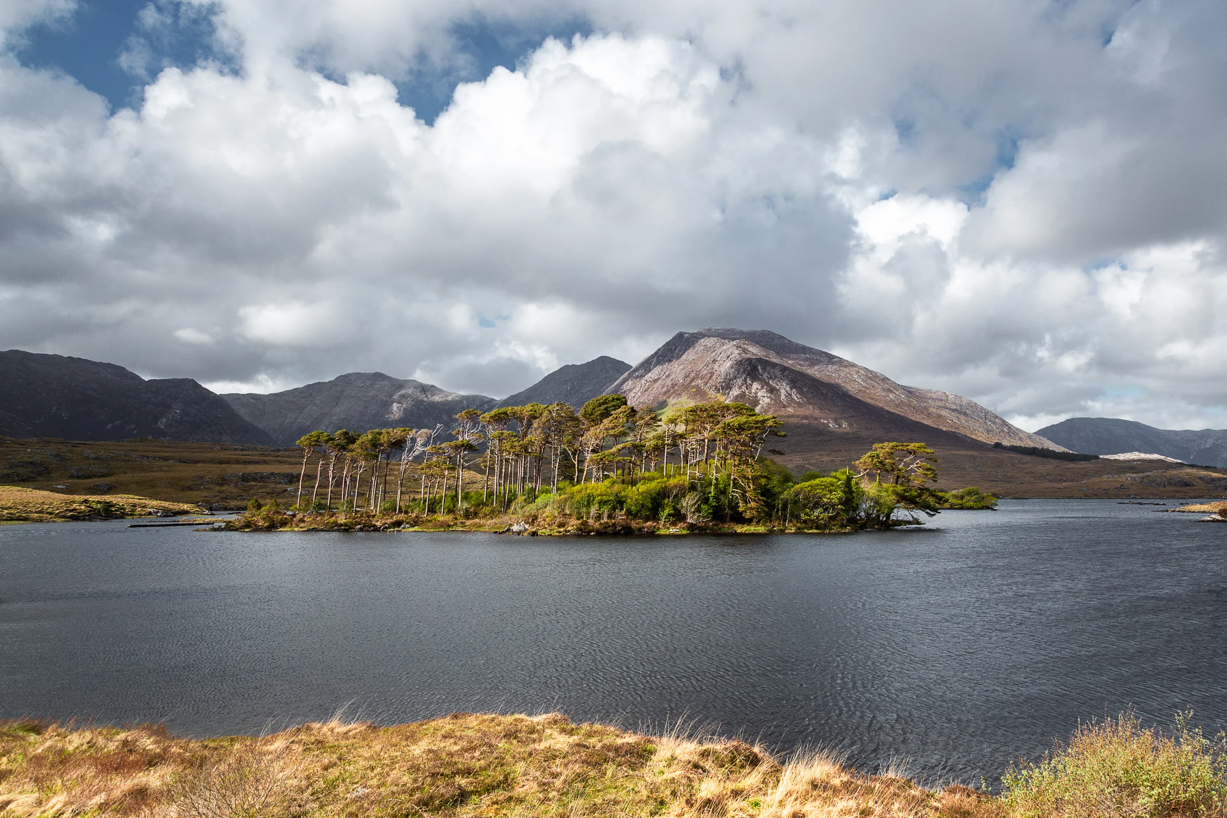 IRLAND LOCATION: IRLAND