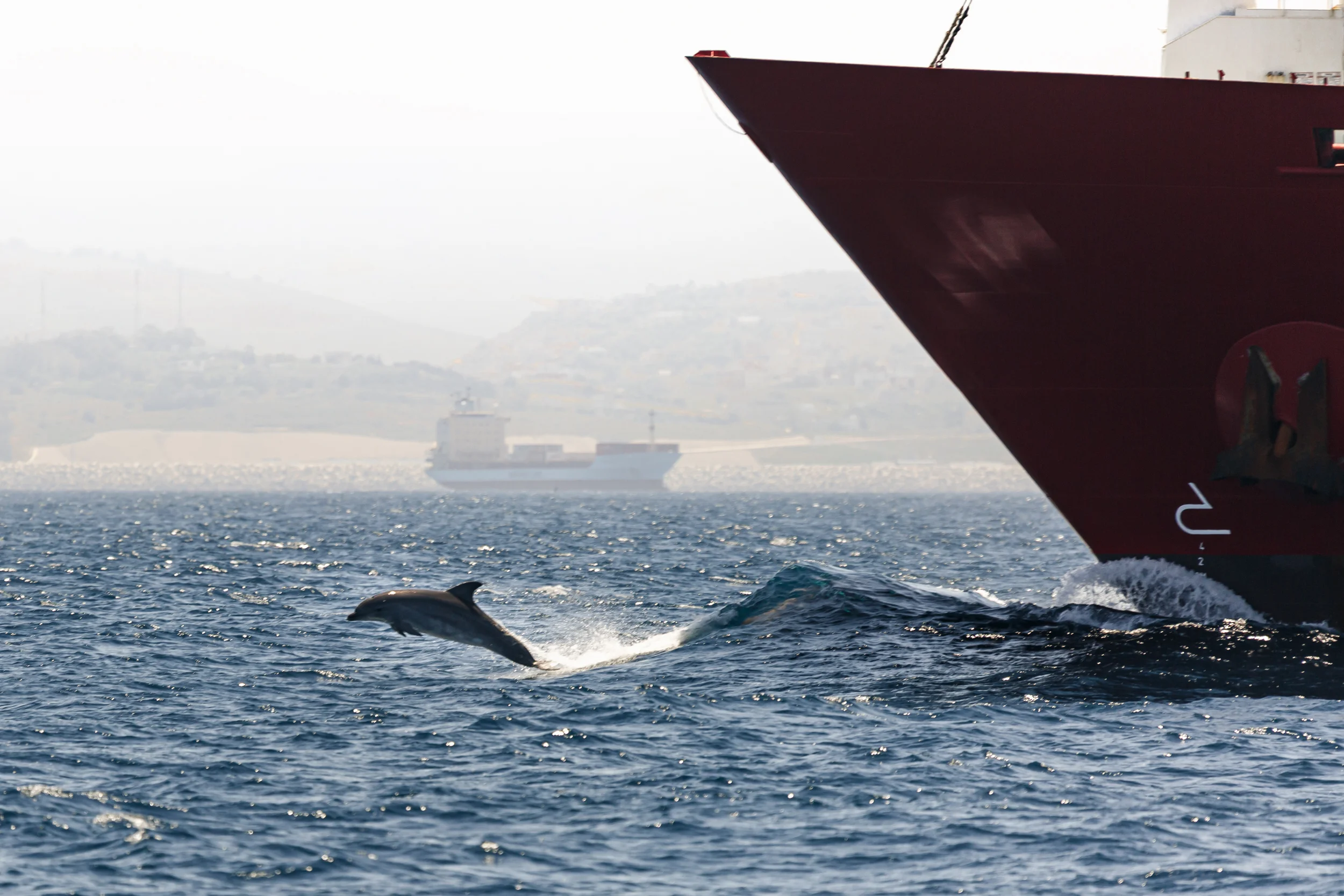 Tarifa-23.jpg