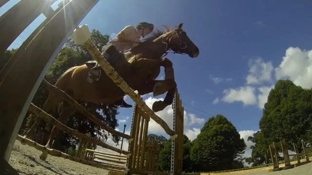 Three sisters at home with their horses