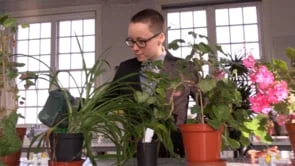 Teacher profiles:  A maths teacher who likes a challenge