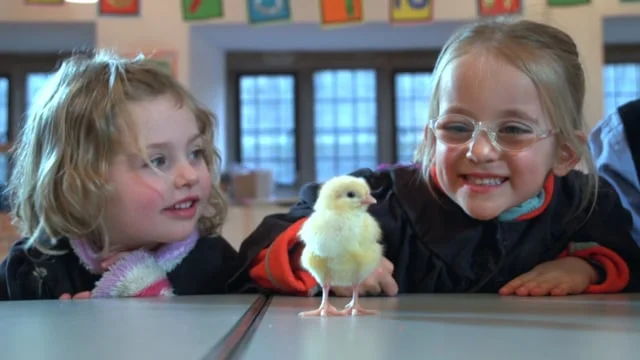 Children at St Marks Hall Nursery discuss their school