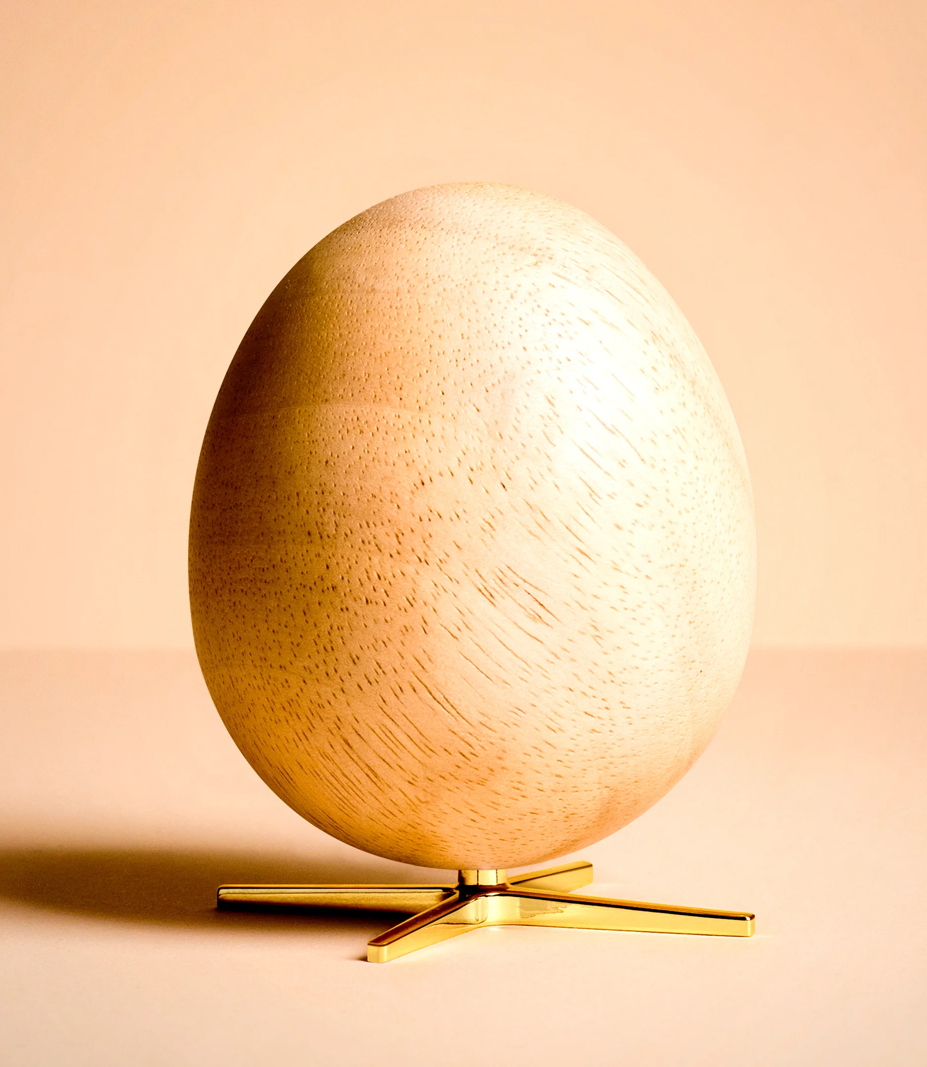 Aegget-figuren-brainchild-lyst-trae-guld-2.jpg