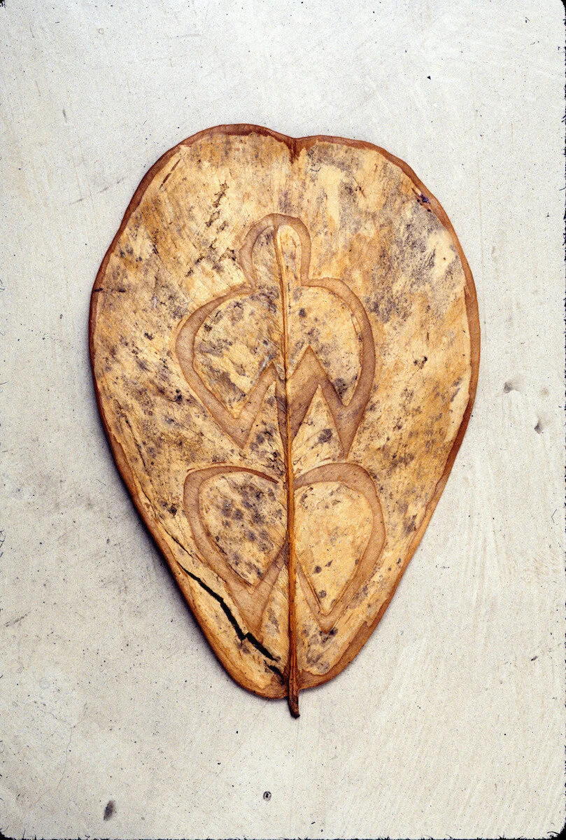 MENDIETA Ana