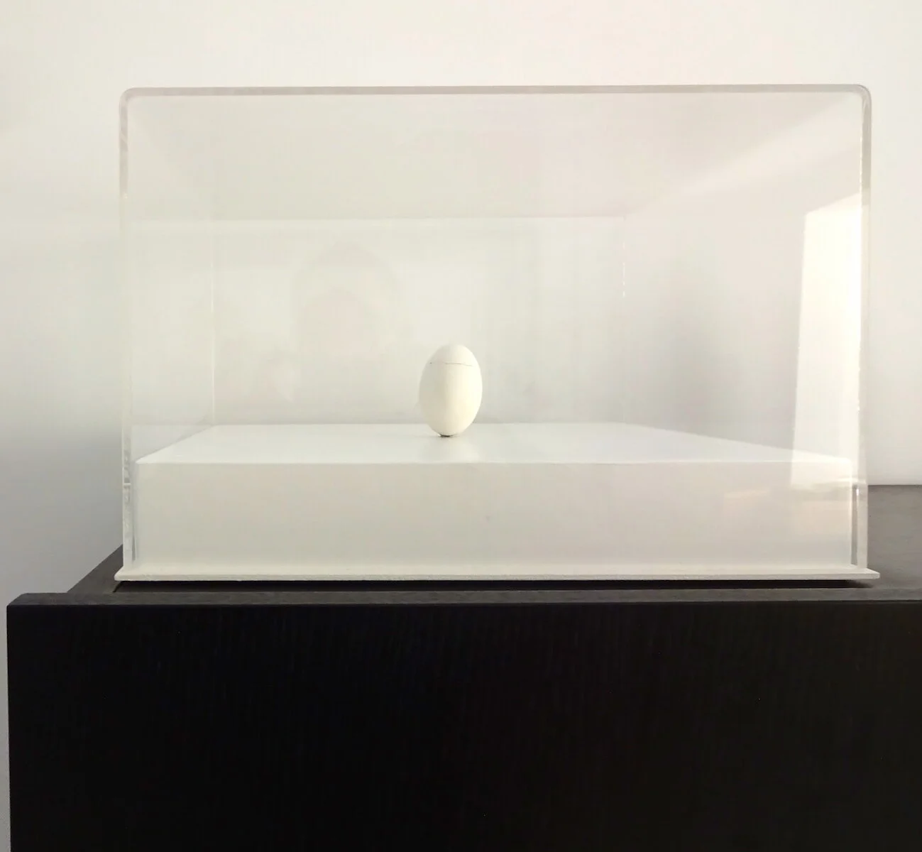 Untitled, Egg (ed:1/1), 2011