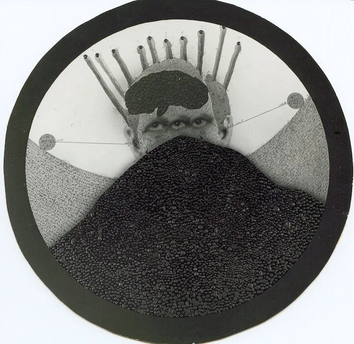 ZUSH