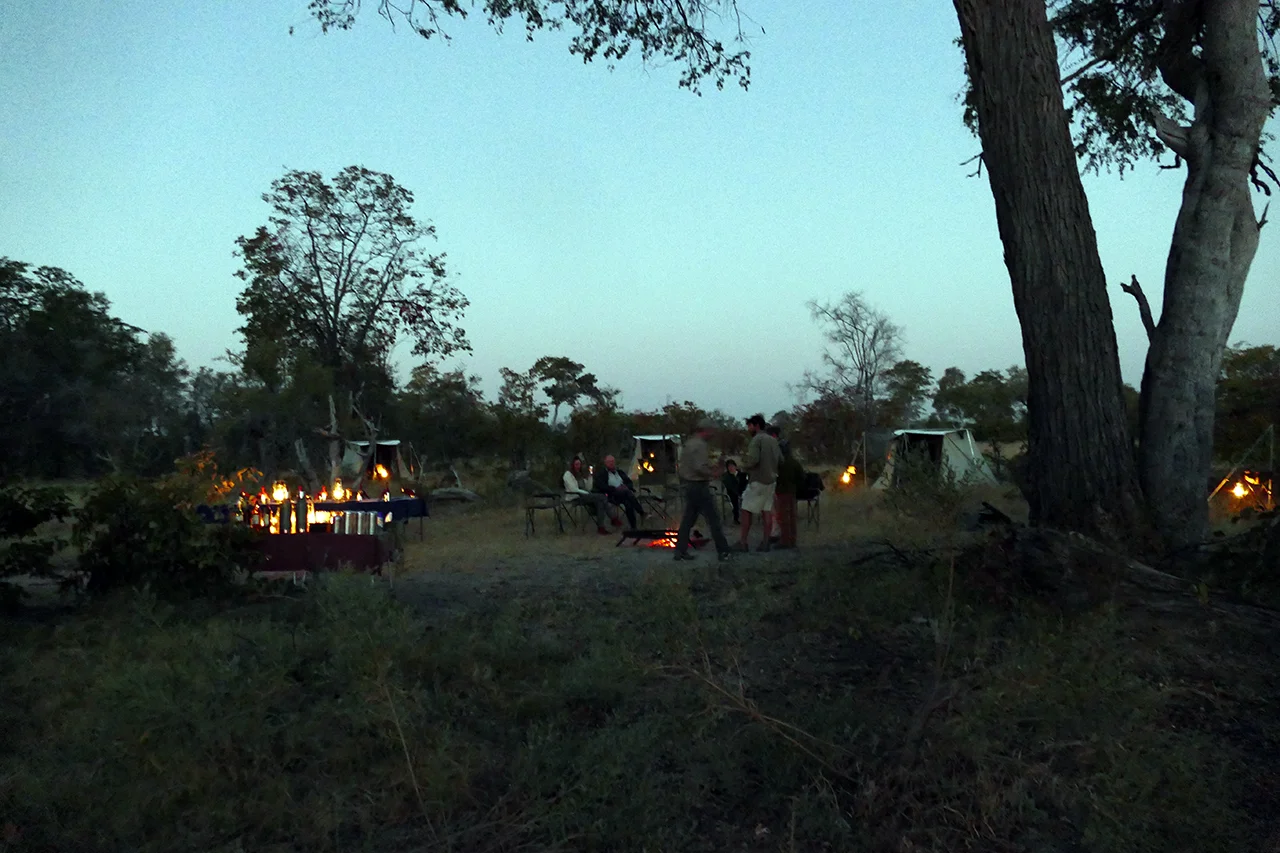 Glamping Safari