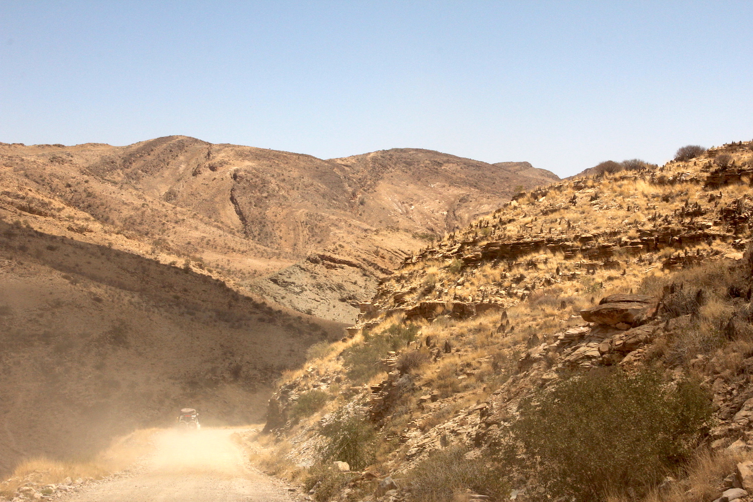 bushlife18-website-namibie00001.JPG