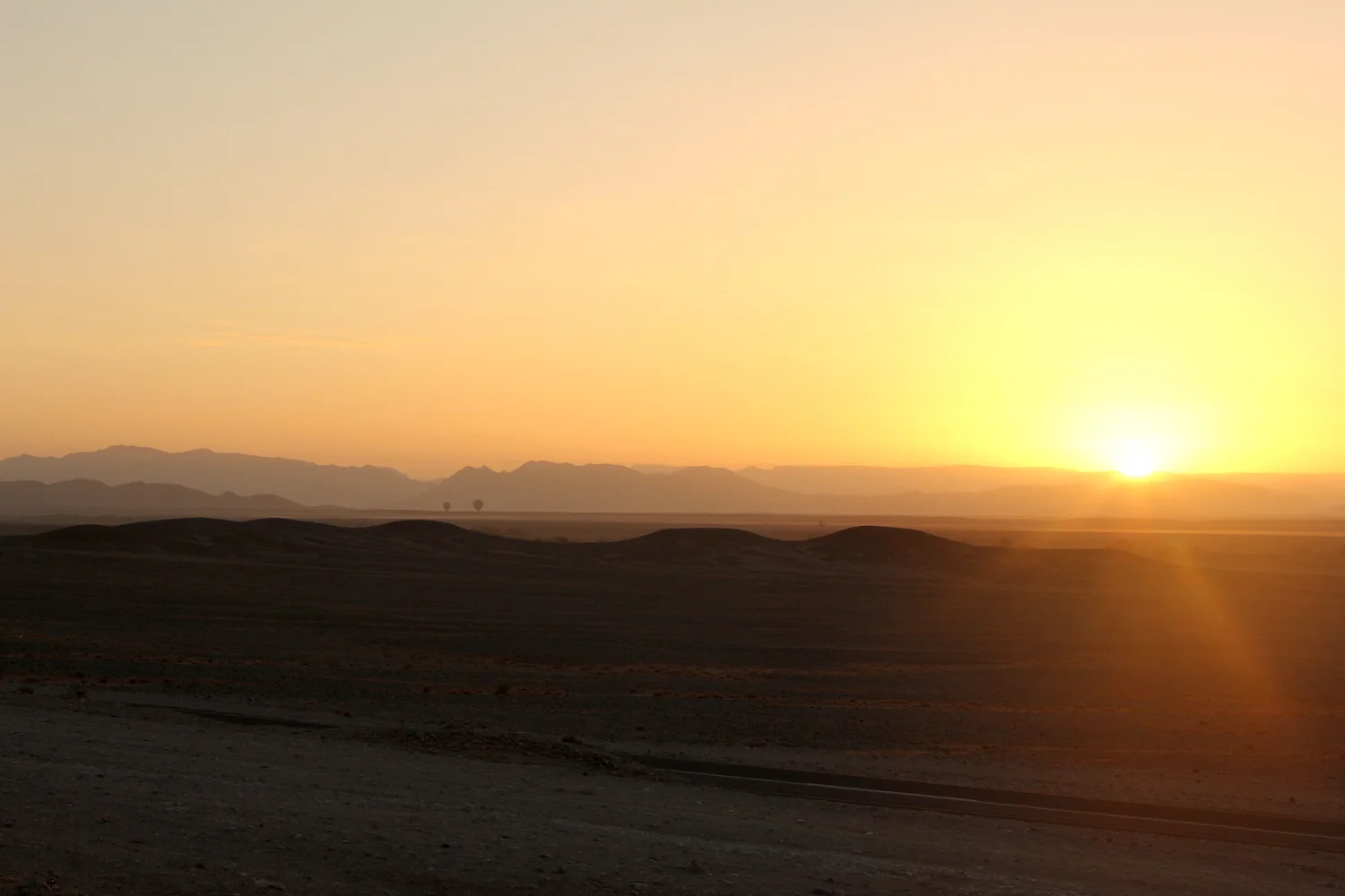 bushlife18-website-namibie00004.JPG
