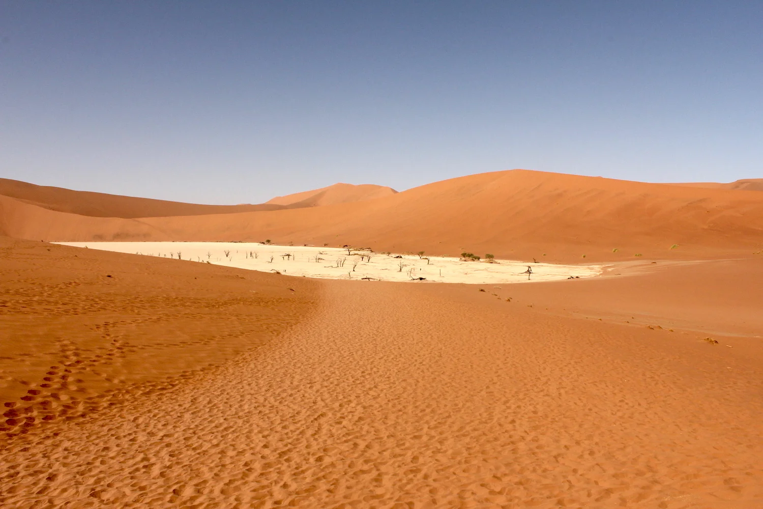 bushlife18-website-namibie00007.JPG