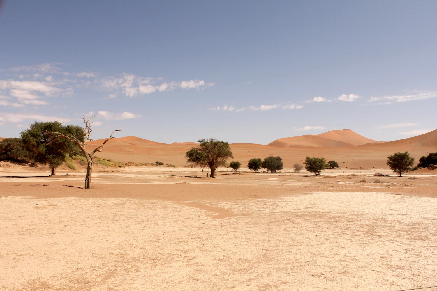 bushlife18-website-namibie00008.JPG