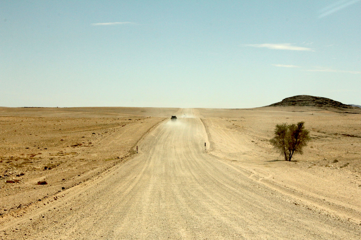 bushlife18-website-namibie00013.JPG