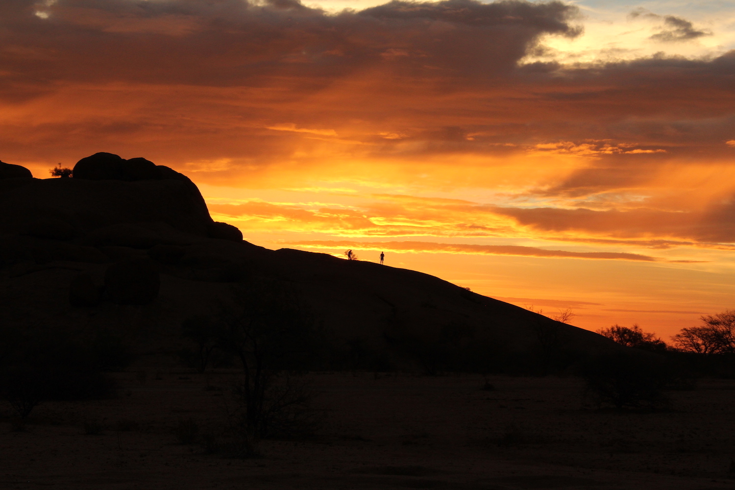 bushlife18-website-namibie00020.JPG