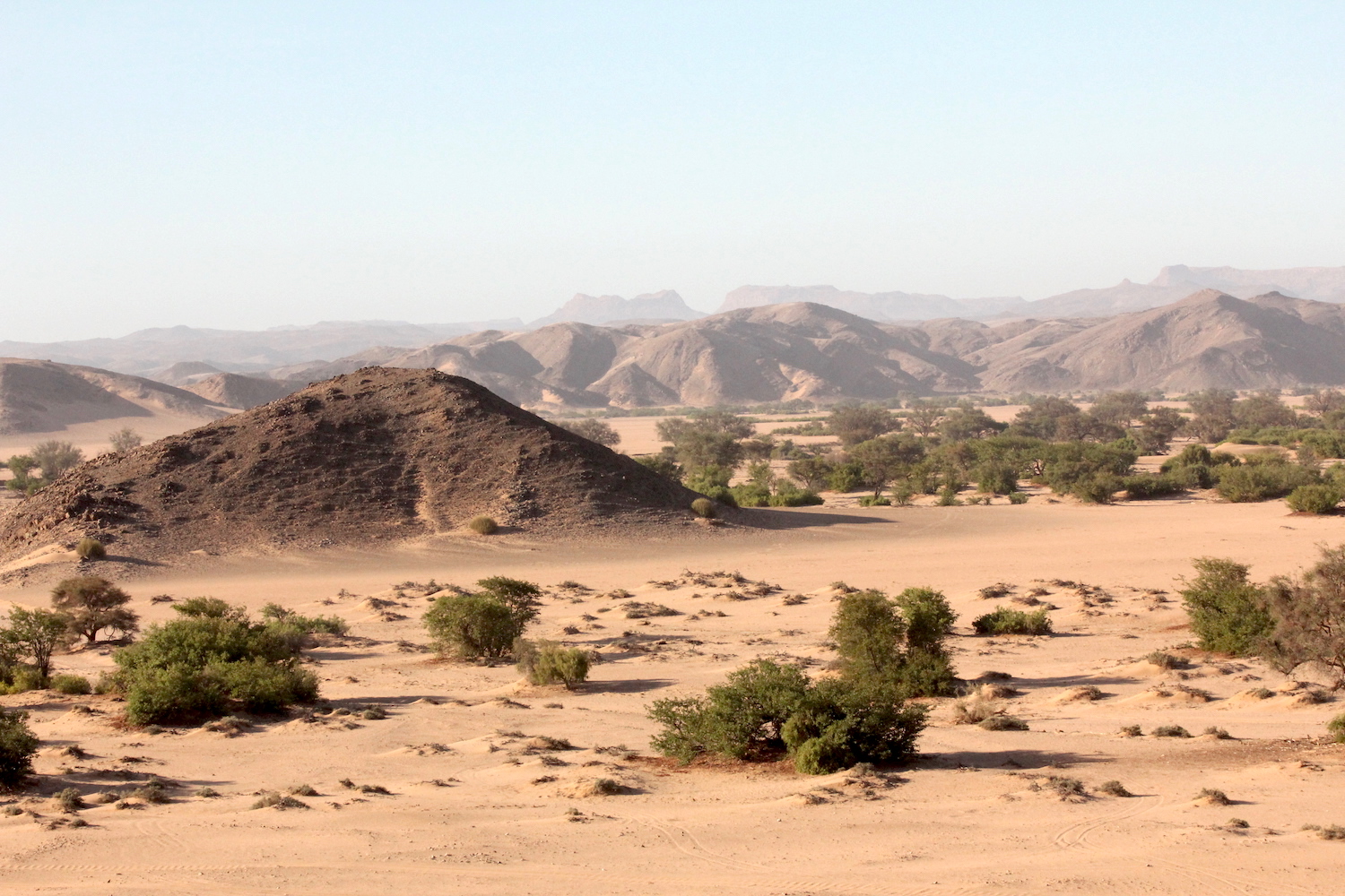 bushlife18-website-namibie00025.JPG