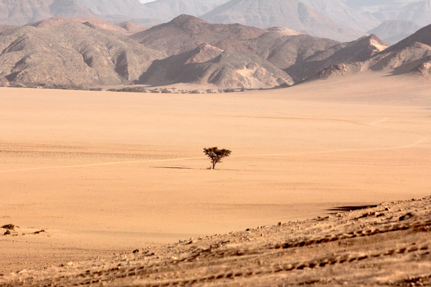 bushlife18-website-namibie00026.JPG