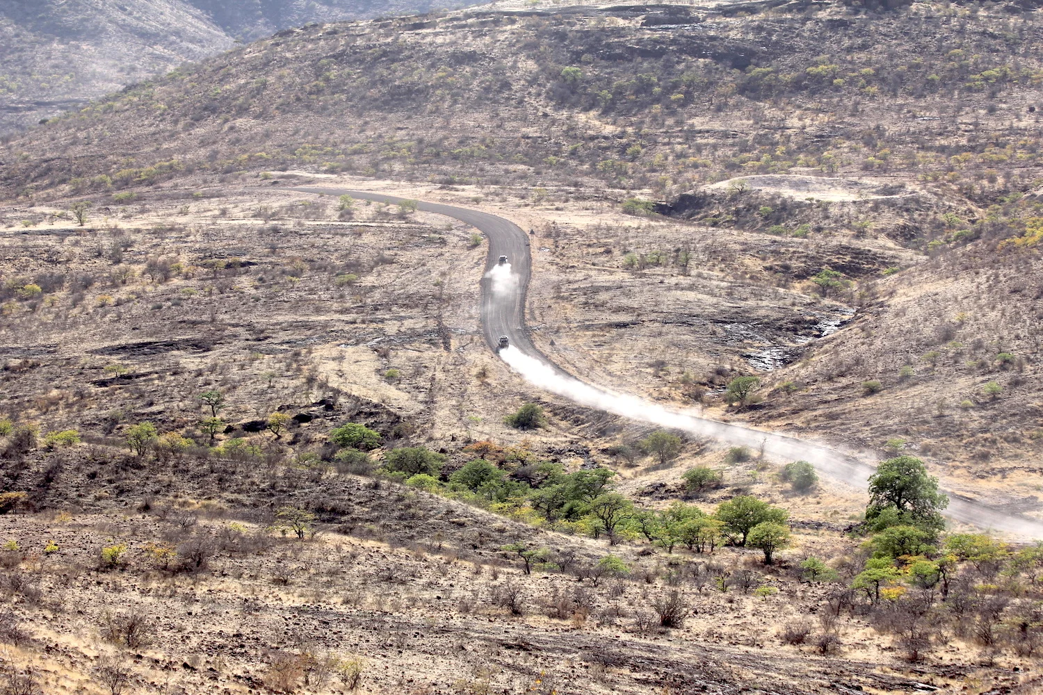 bushlife18-website-namibie00031.JPG