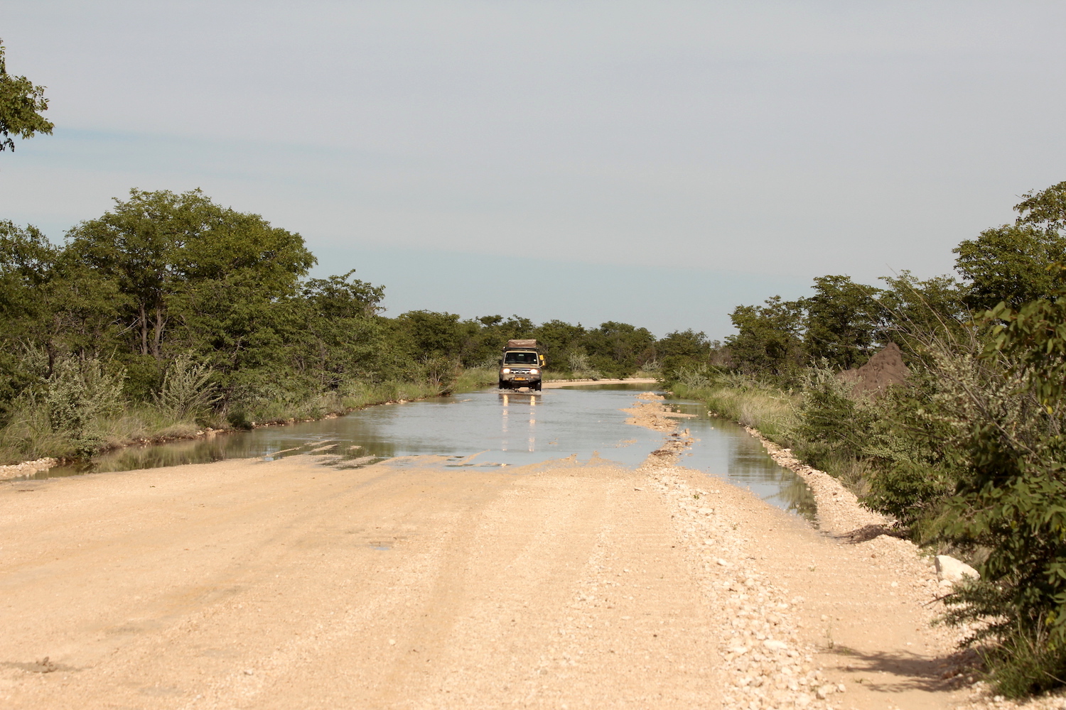bushlife18-website-namibie00033.JPG