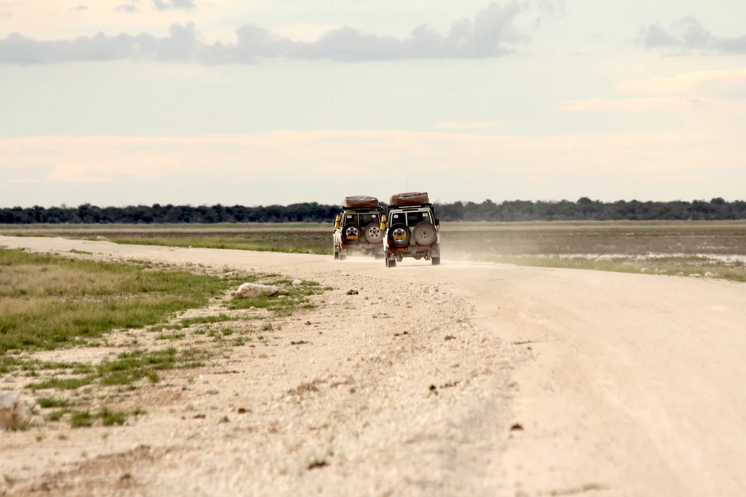 bushlife18-website-namibie00037.JPG
