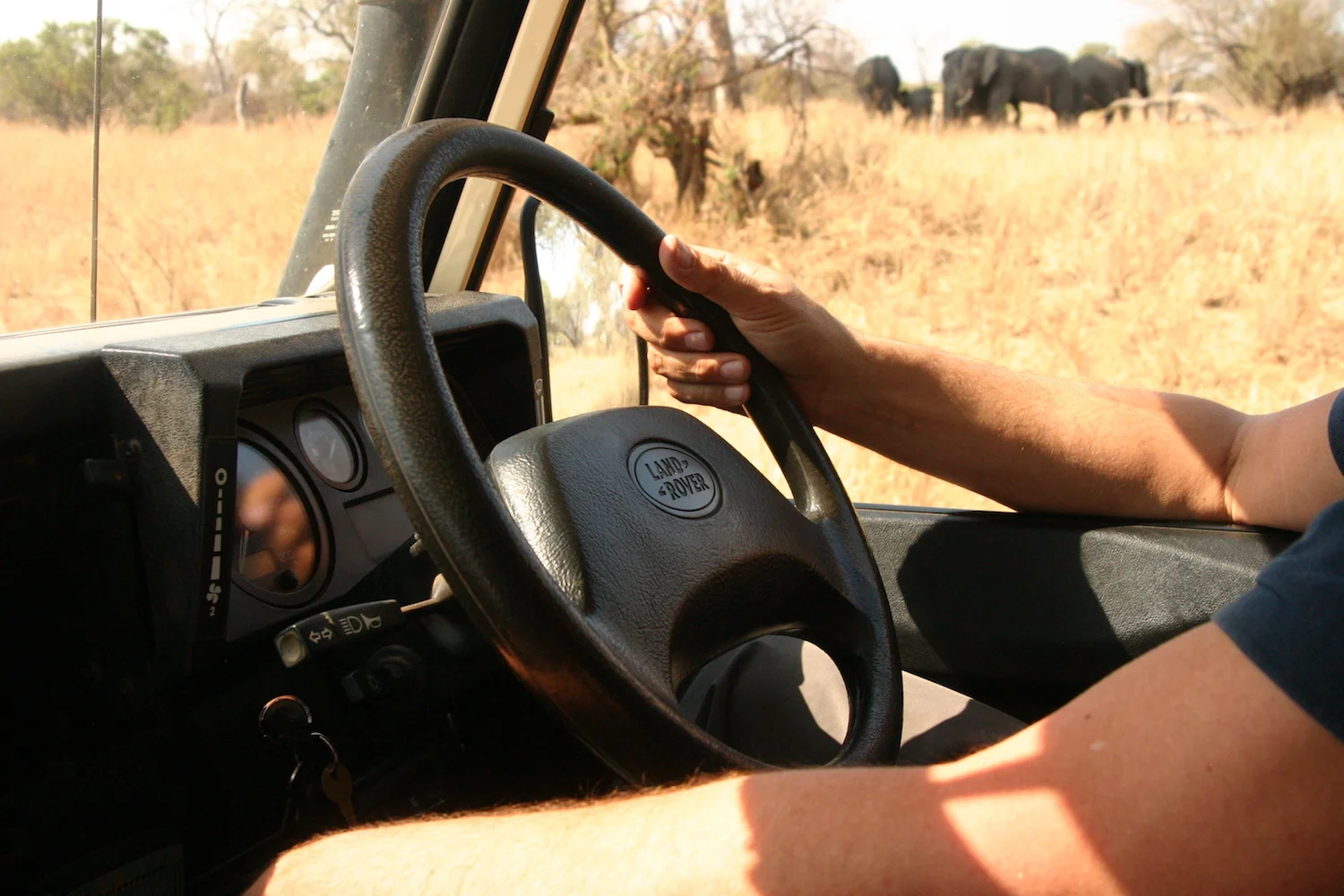bushlife-website-zuidafrika00011.JPG