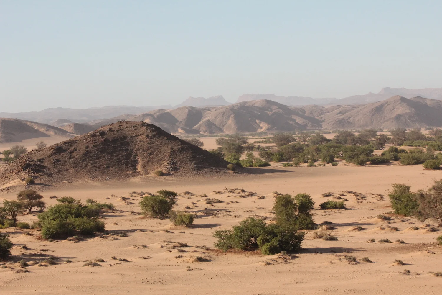 achtergrond website1.jpeg