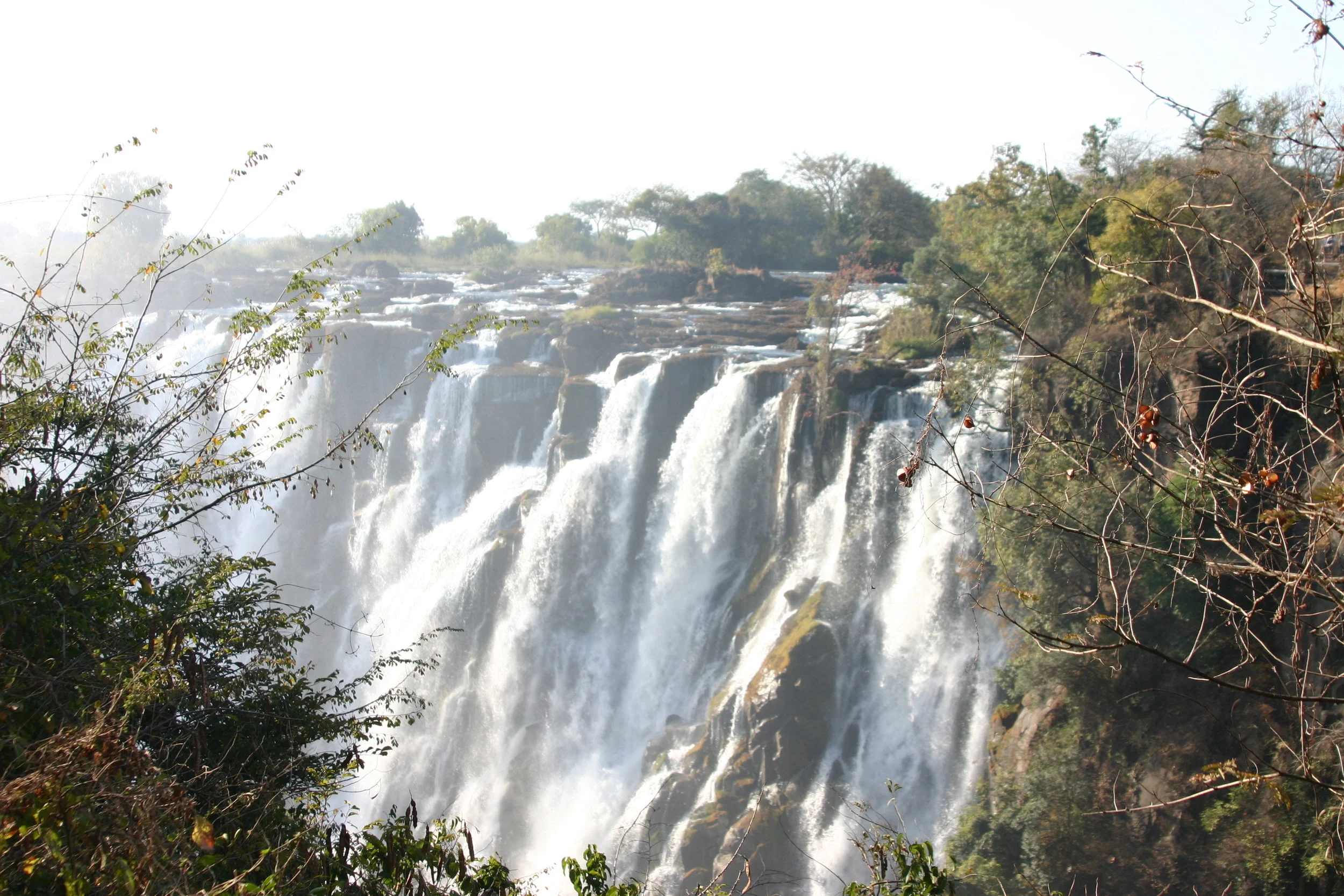 bushlife-website-zambia00024.JPG
