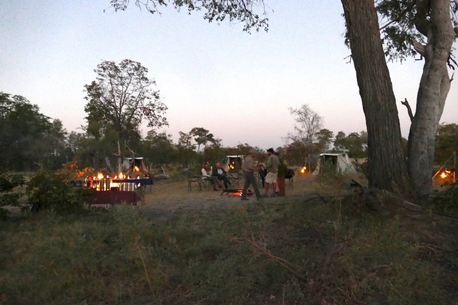 Glamping Safari