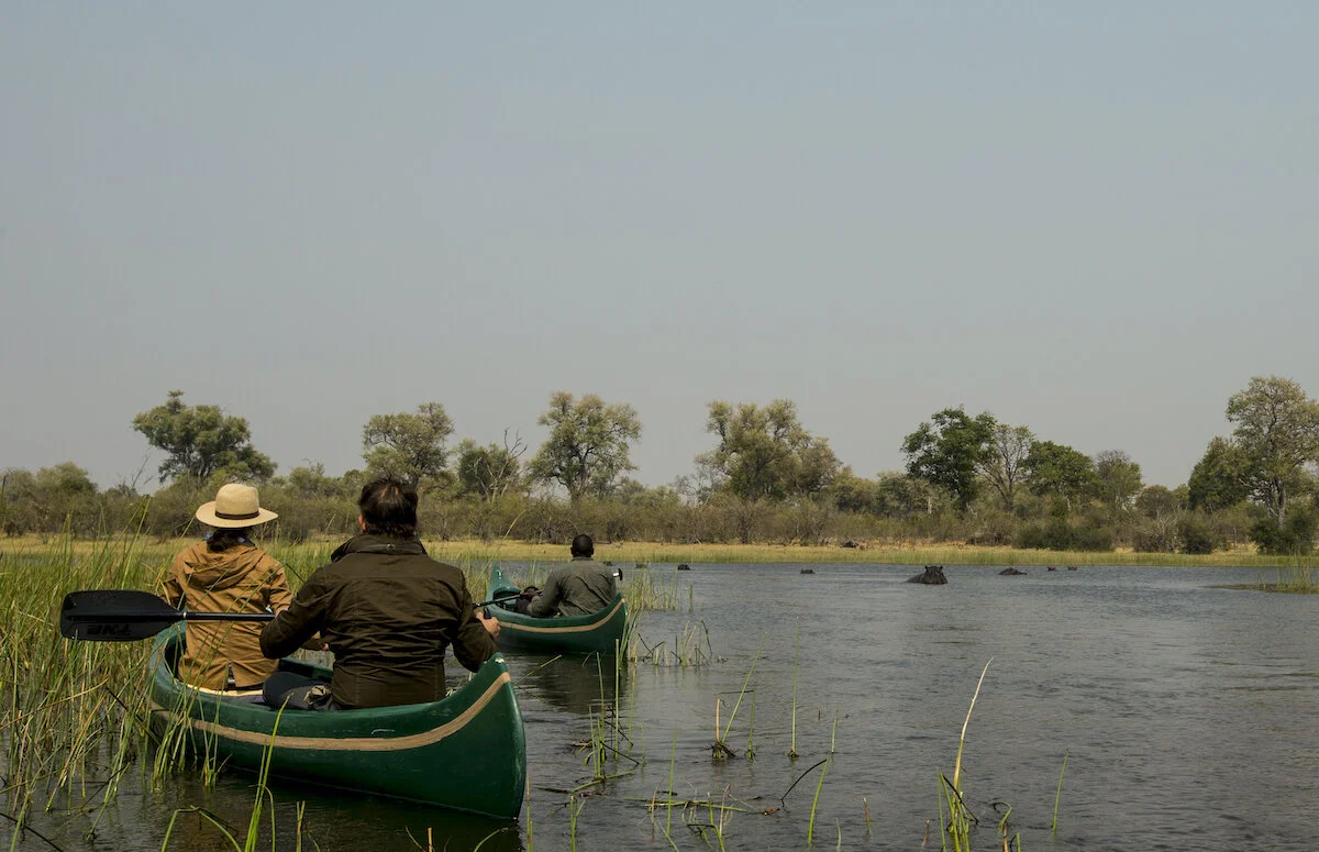 Botswana. Okavango Delta.