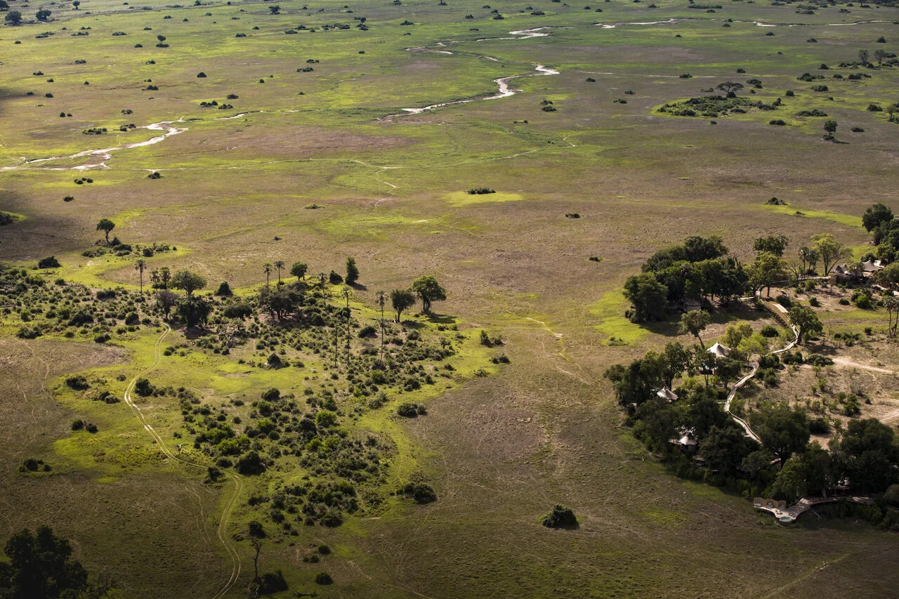 Botswana. Okavango Delta.