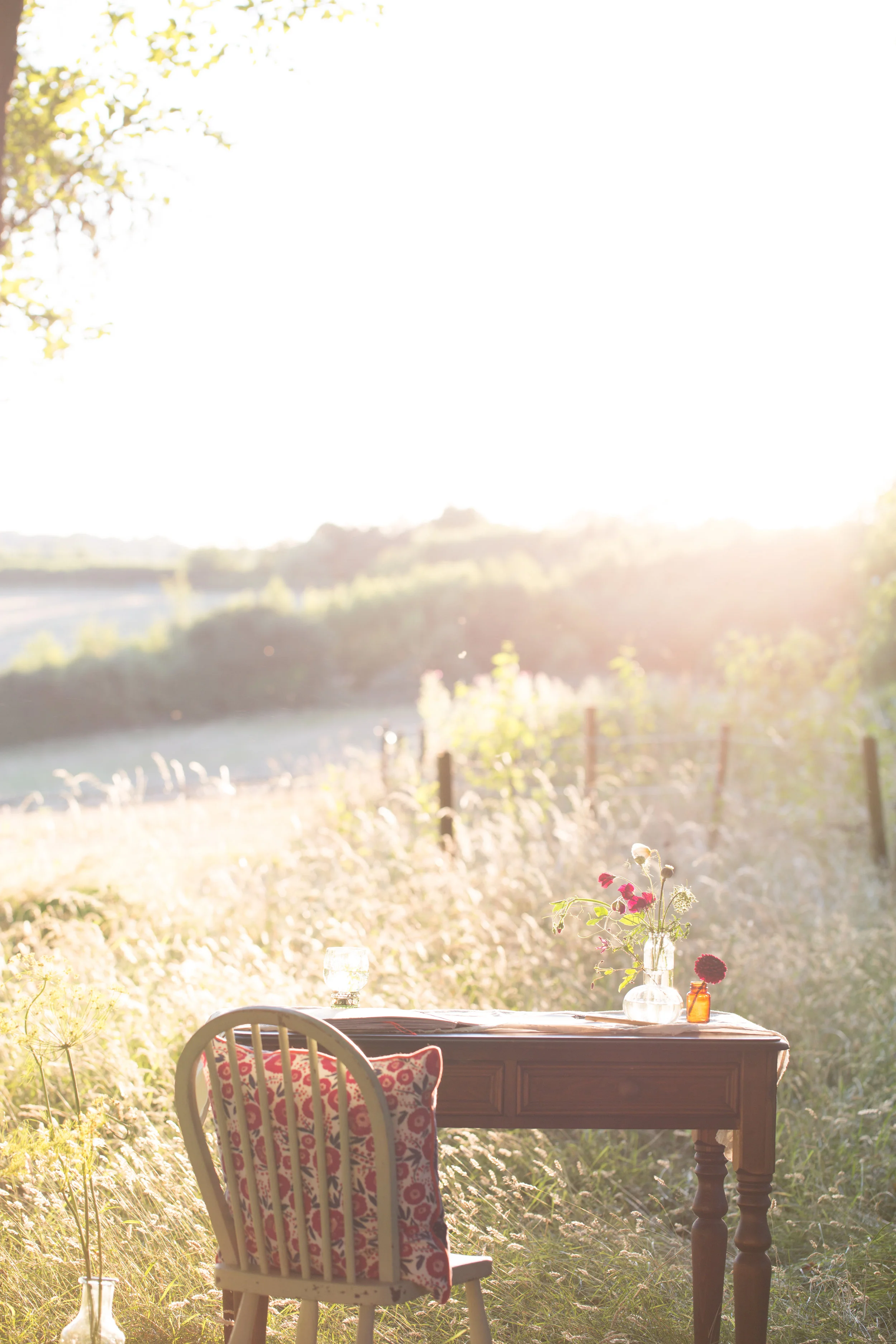 image by Katie Spicer