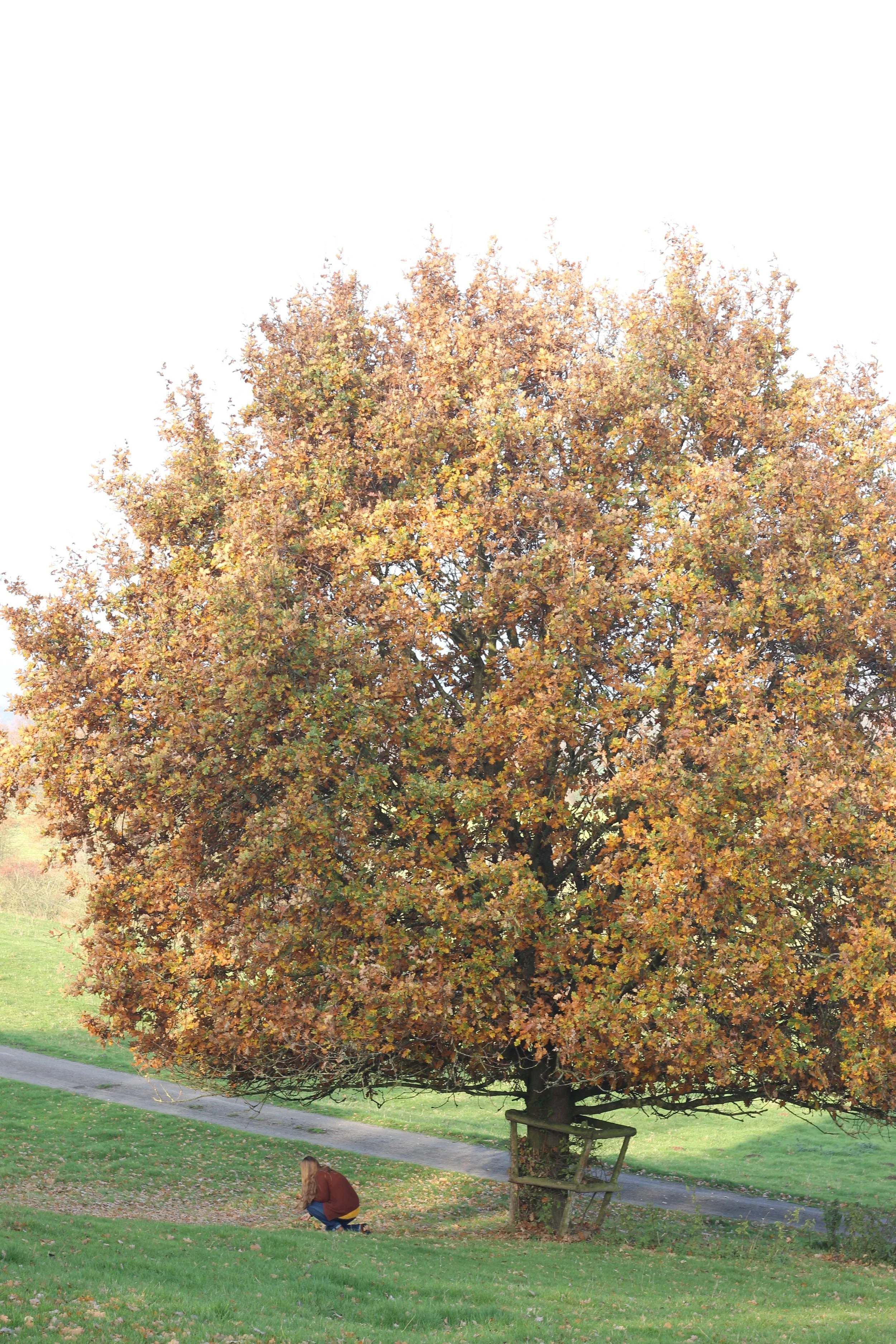 creative countryside gathering autumn 2018.jpg