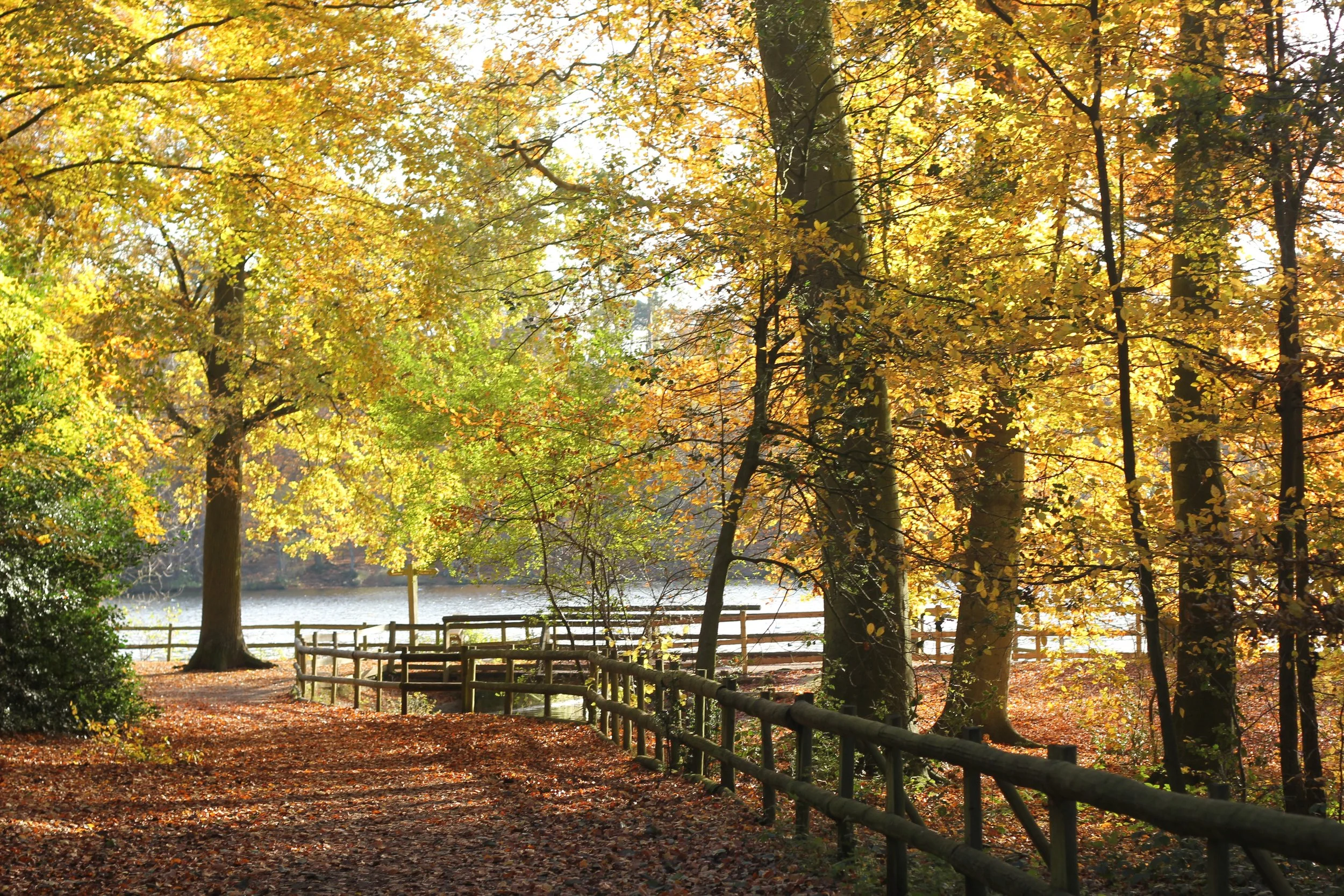 An offer for Autumn
