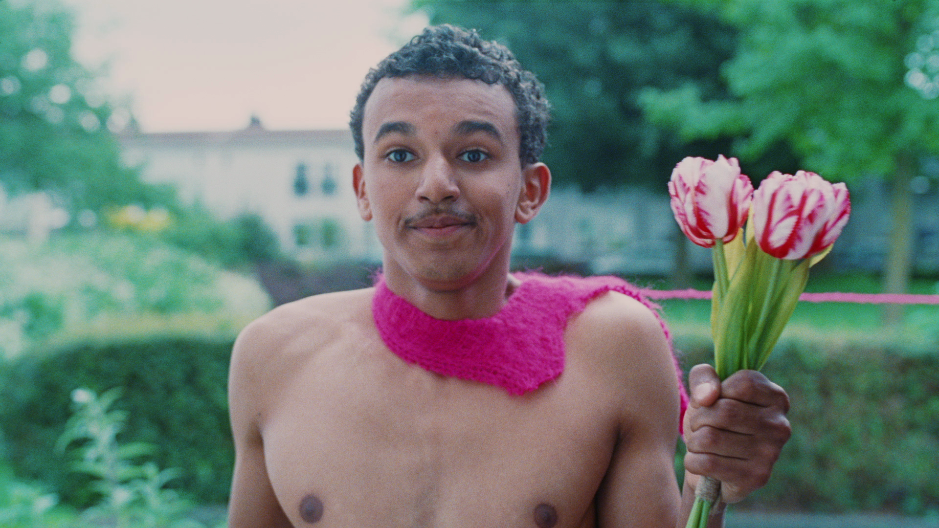 De wereld aan een zijden draadje - SIRE