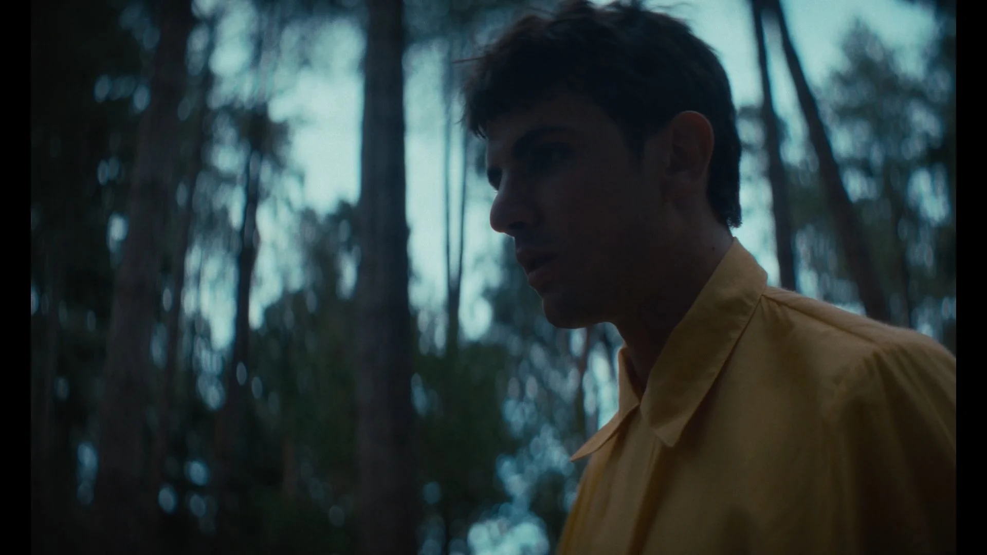 Still 2026-03-25 121746_1.1.5.jpg