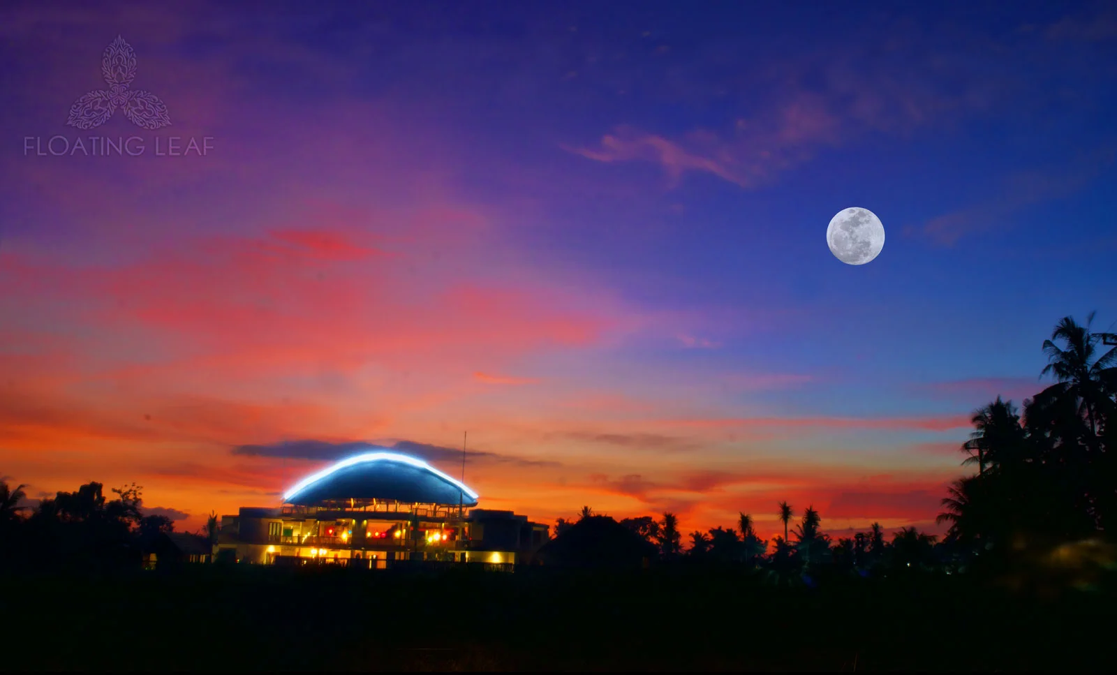 Bali-retreat-hotel-moon.jpg