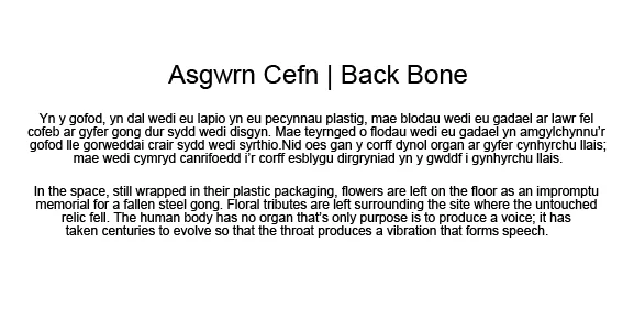 back bon statement.jpg