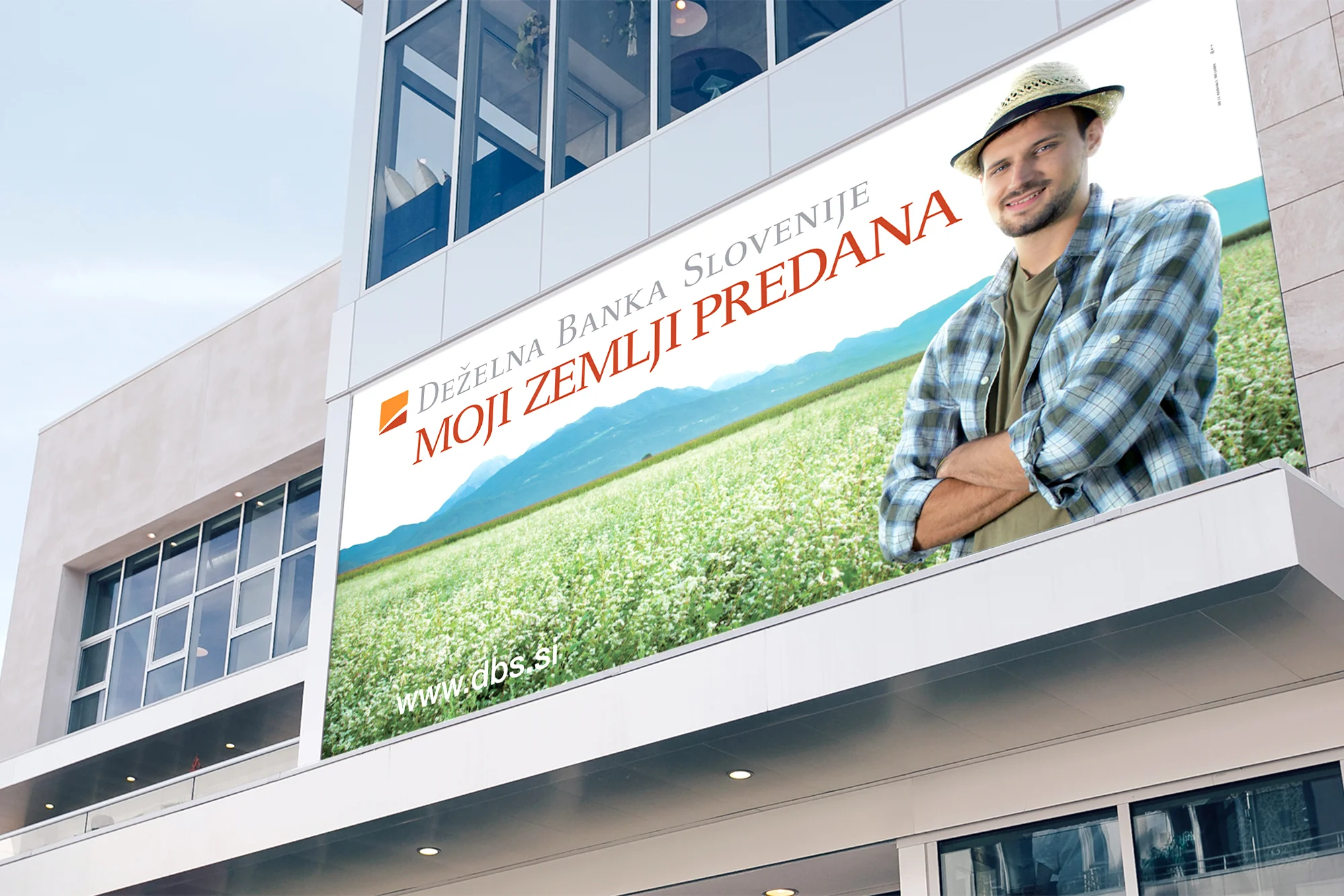 dbsBillboard.jpg