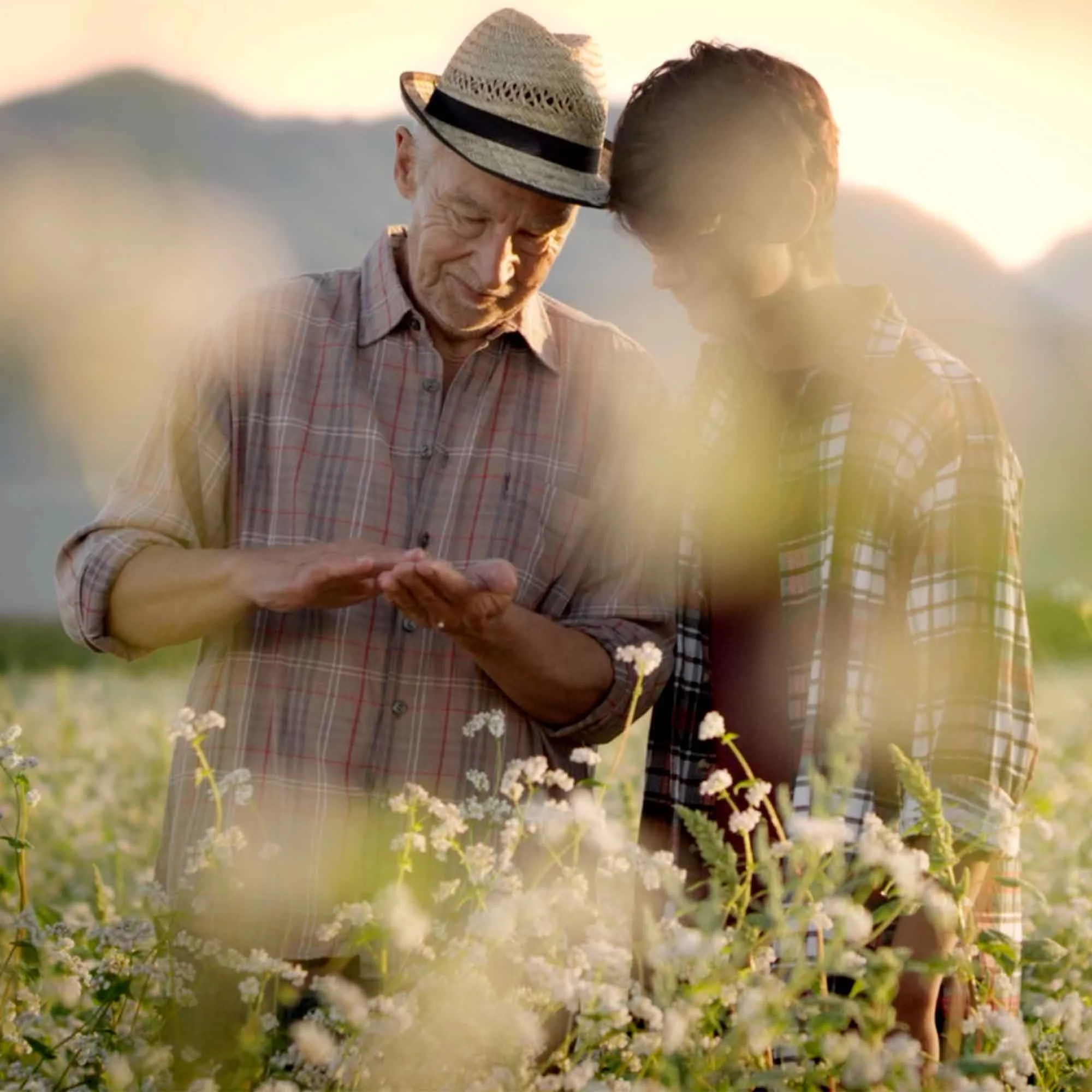 Moji zemlji predana, Deželna Banka Slovenije